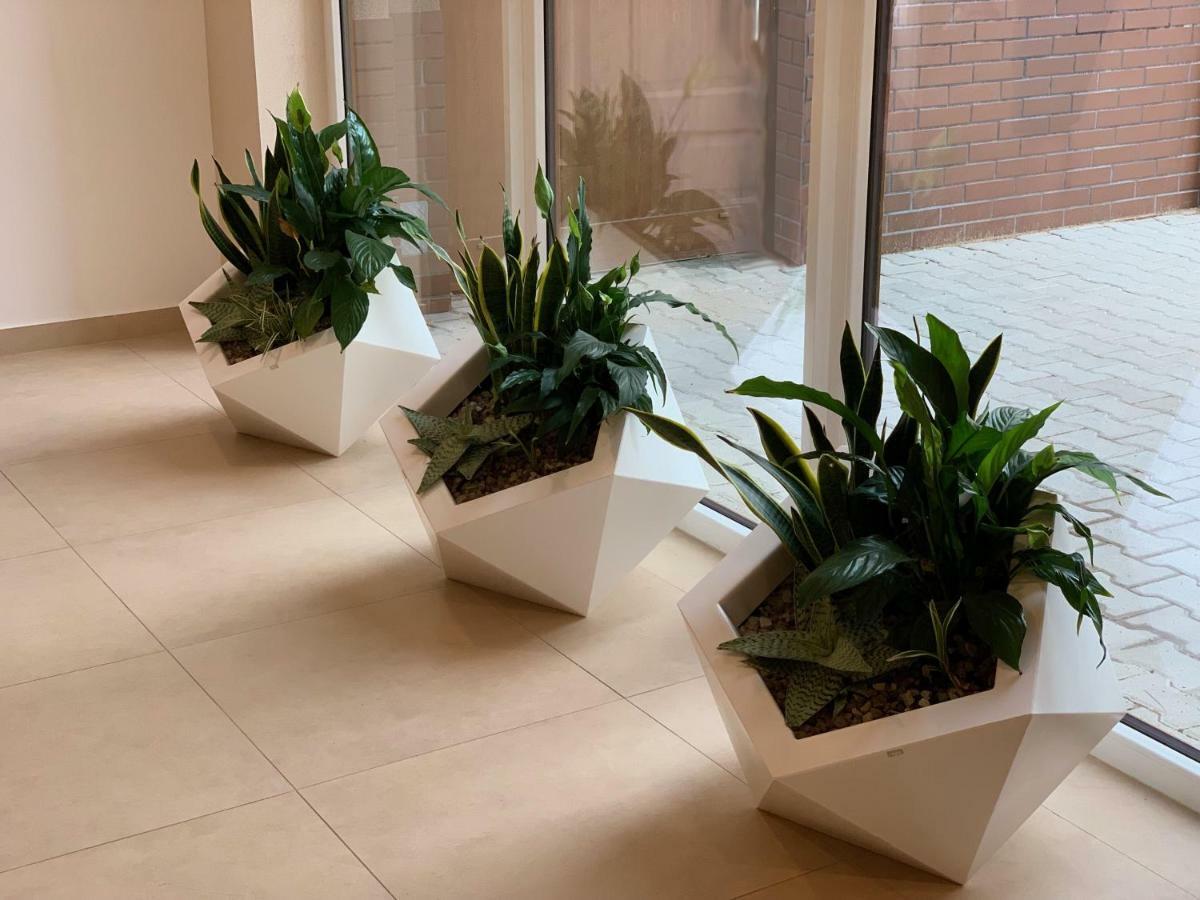 好梦酒店 弗罗茨瓦夫 外观 照片